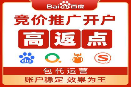 案例解读：SEM托管助力电商销售增长